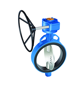 Butterfly Valve Manufacturer - Center Disc Butterfly Valve