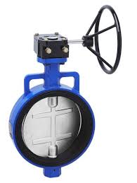 Replaceable seat butterfly valve